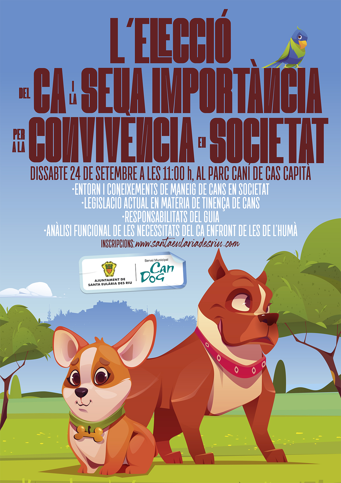 Medi Ambient organitza al parc caní de Cas Capità un taller per a la correcta elecció dels cans en adopció i la seua convivència en la societat