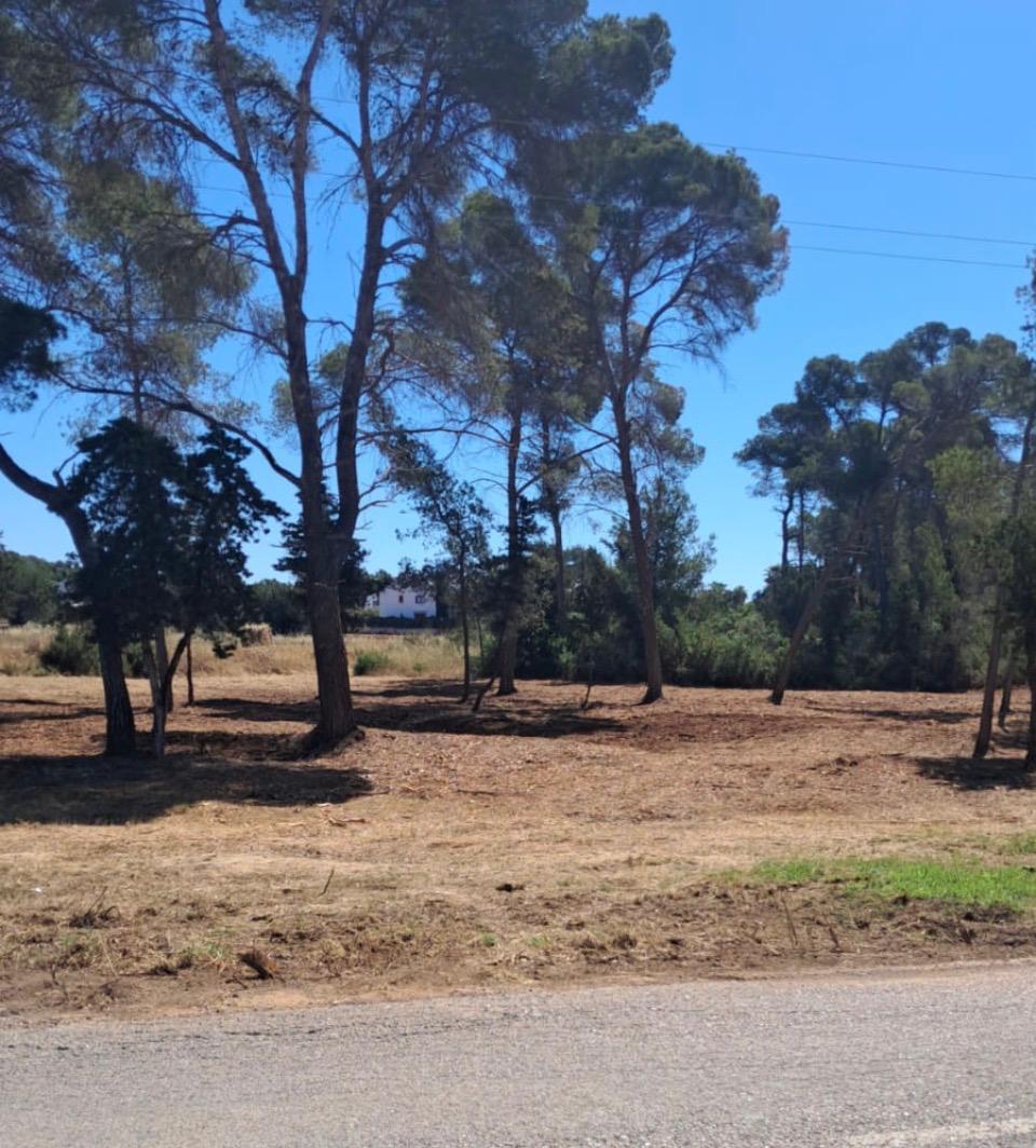 Santa Eulària obre un aparcament públic i gratuït amb 150 places en s’Argamassa
