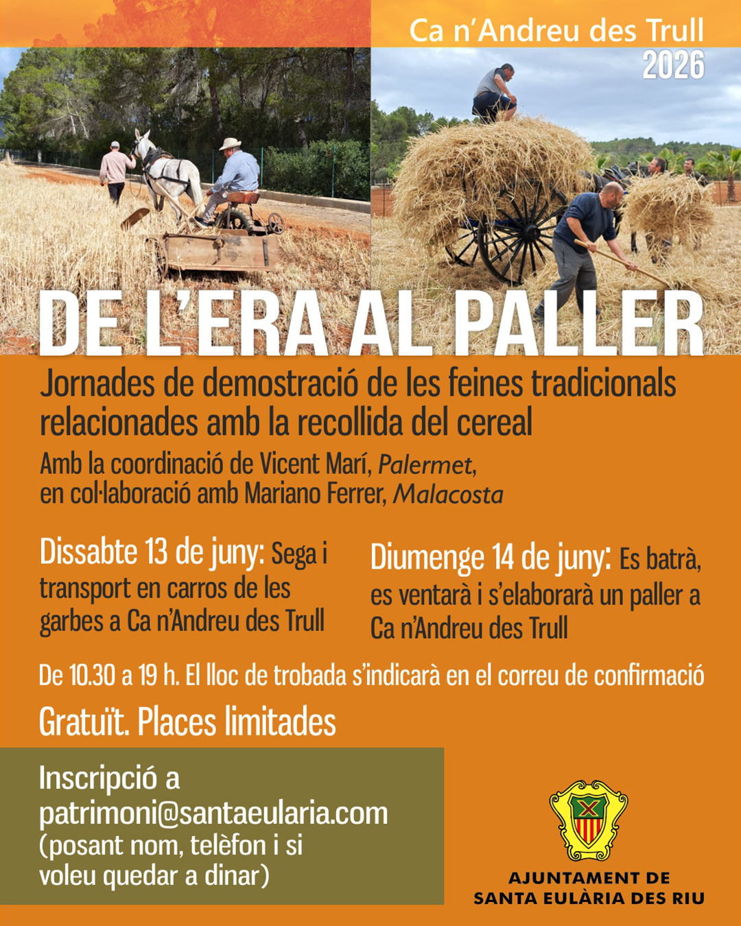Santa Eulària recupera las labores tradicionales de la cosecha del cereal con las jornadas ‘De l’era al paller’