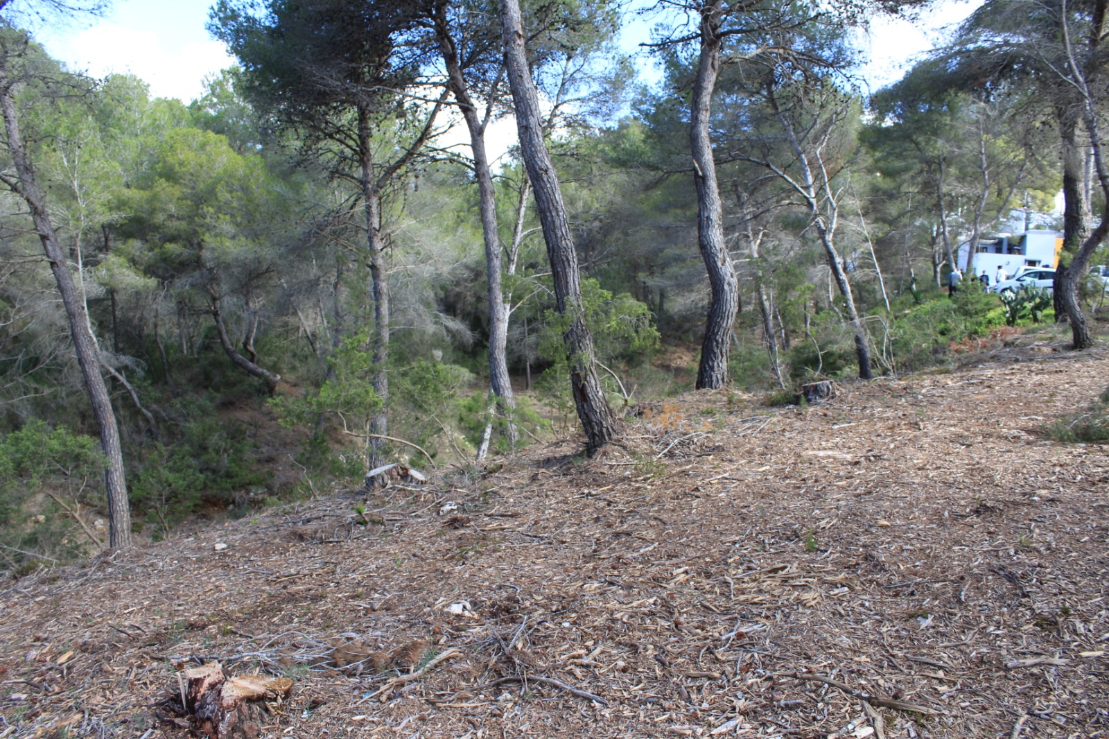 Adjudicades provisionalment una desena d'ajuts a particulars per executar faixes de protecció contra incendis