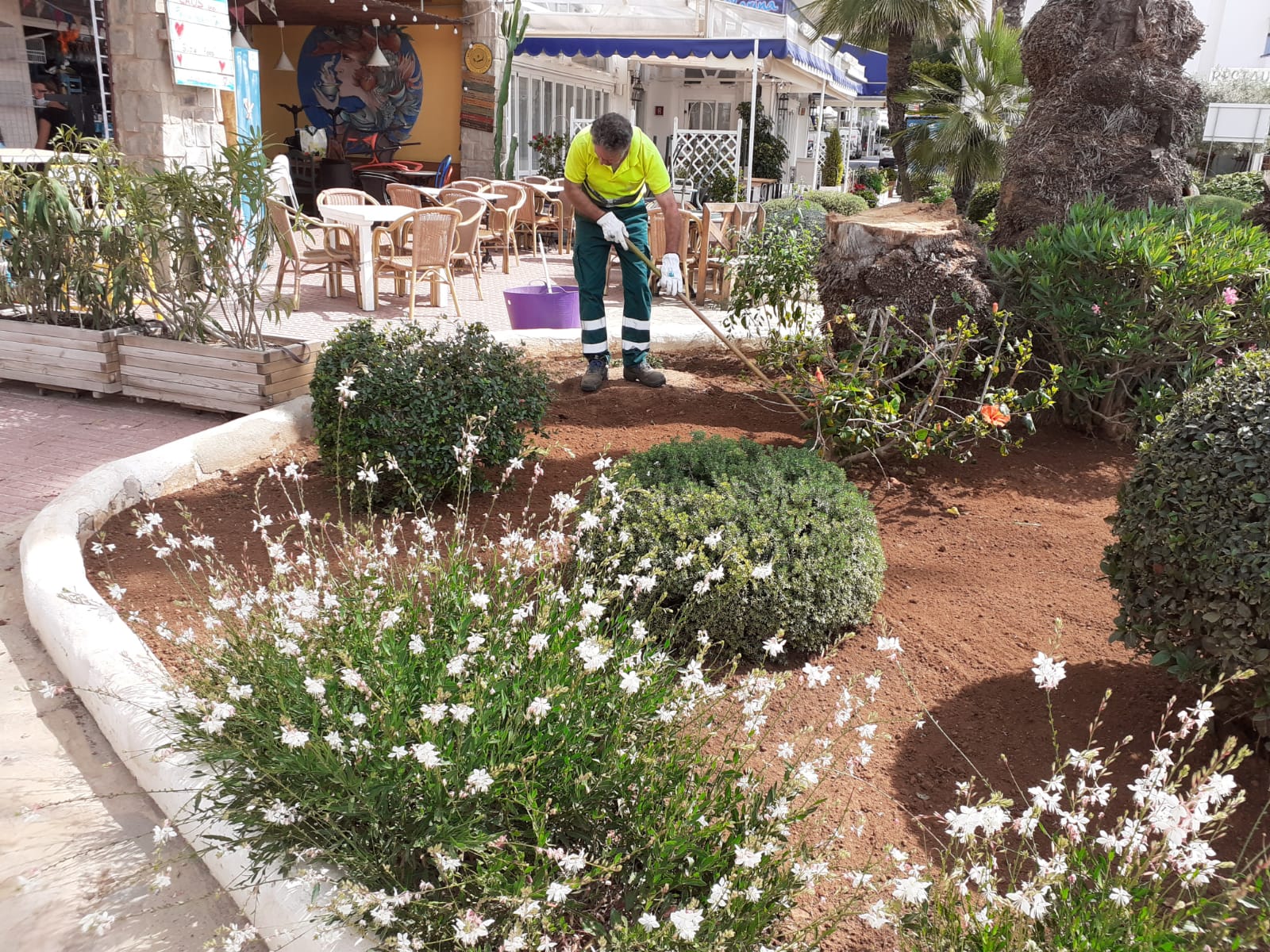 Santa Eulària licita un contracte per millorar l'eficiència en el manteniment i reduir el consum d'aigua als jardins