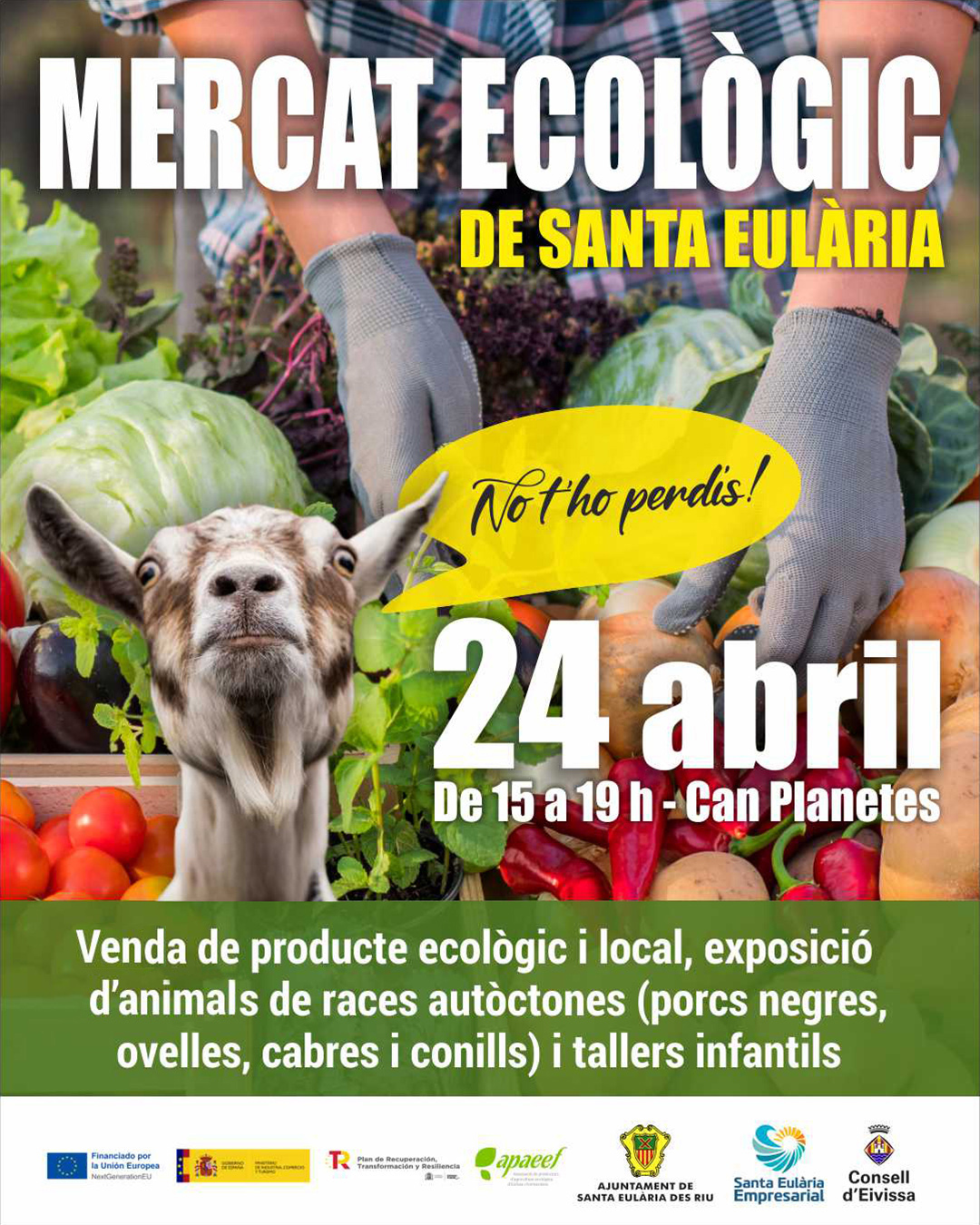 Les races d'animals autòctones, protagonistes de la tercera edició del Mercat Ecològic de Santa Eulària
