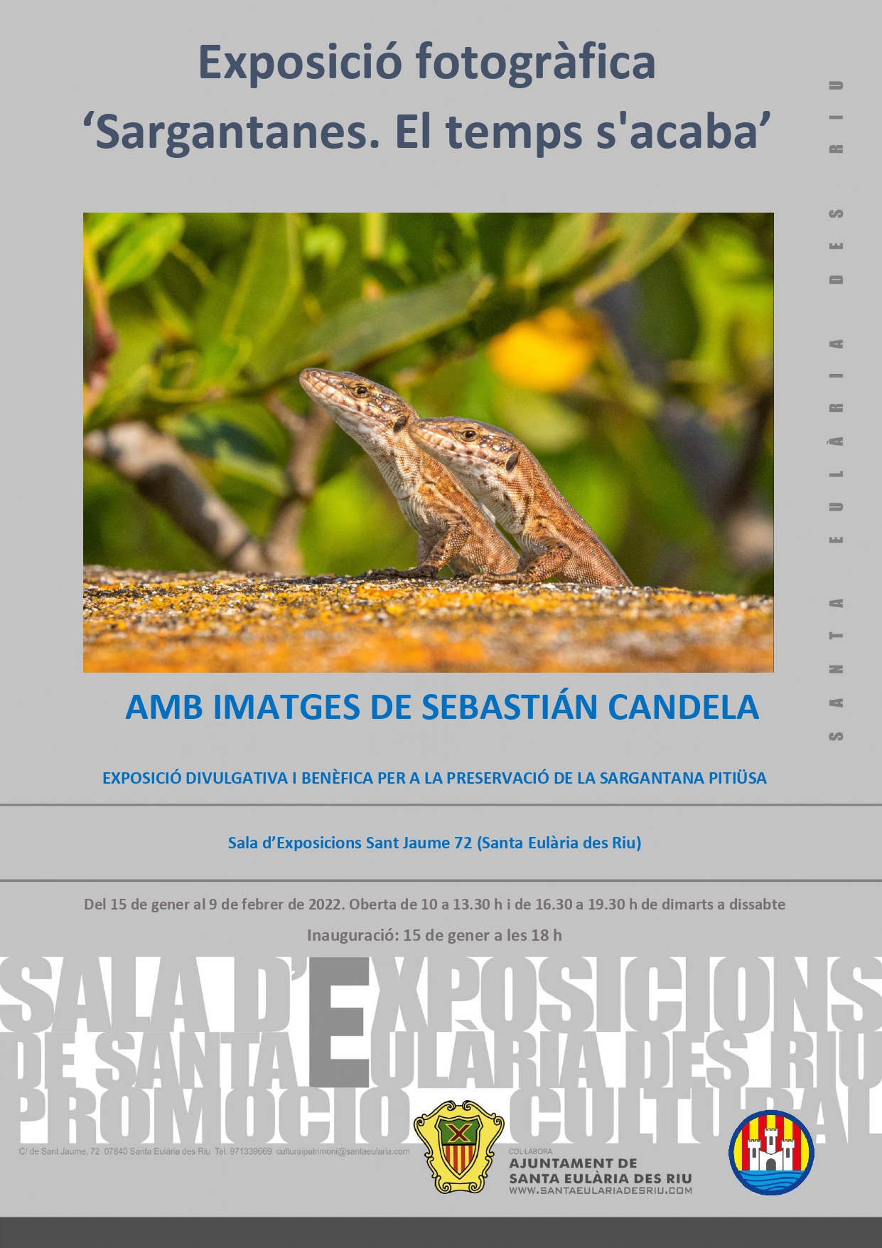 ‘Sargantanes. El temps s’acaba’, de Sebastián Candela, arriba a la Sala d’Exposicions Sant Jaume 72 de Santa Eulària
