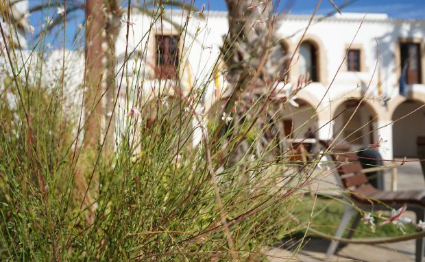 Santa Eulària aconsegueix un 92,5% de satisfacció amb el manteniment de les seves zones verdes