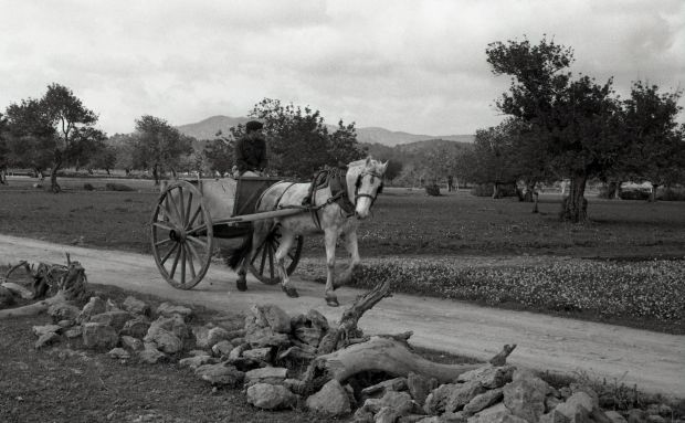 Santa Eulària recupera la memòria dels carros d'Eivissa