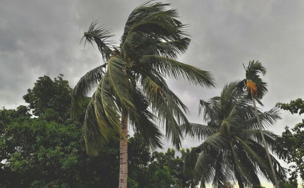 Avís a la població per activació d'alerta taronja de l'AEMET dissabte 31 de gener 2026