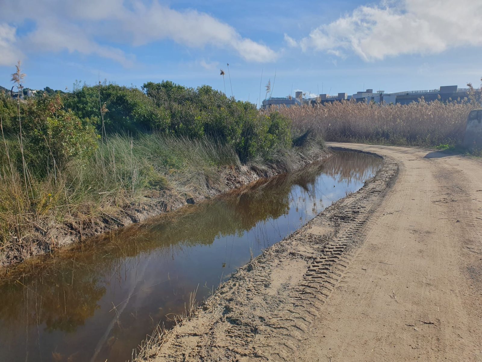 Finalitzada la neteja de canals i camins de ses Feixes des Prat de ses Monges i el torrent de Jesús