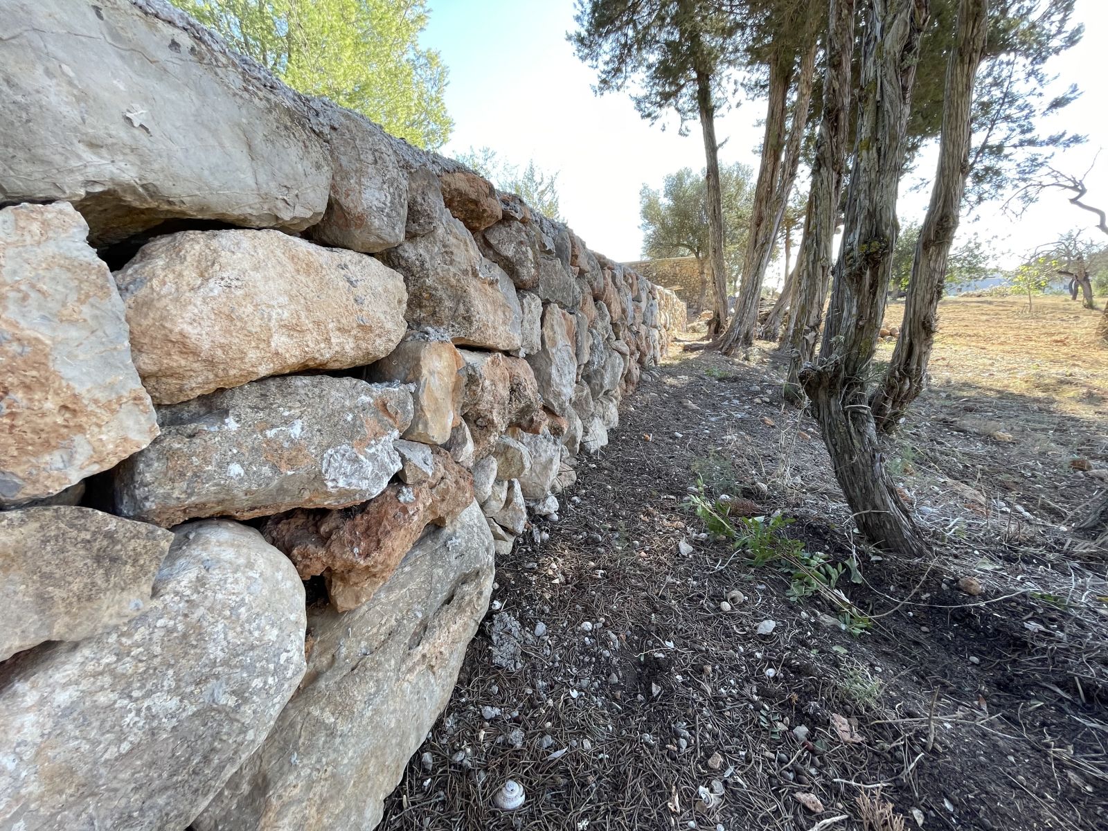 El Ayuntamiento de Santa Eulària destina 80.000 euros a la conservación y mejora del entorno rural