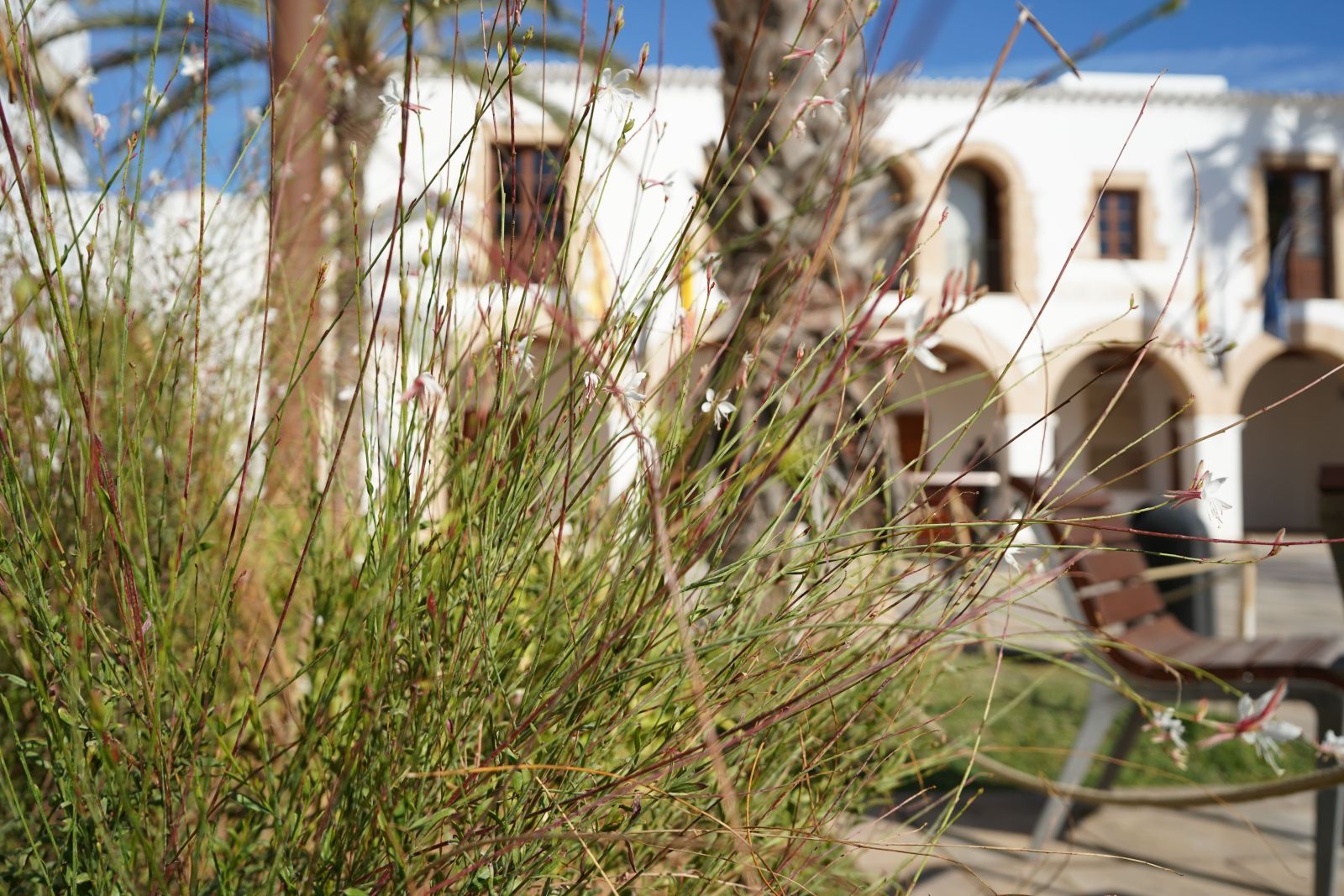Santa Eulària aconsegueix un 92,5% de satisfacció amb el manteniment de les seves zones verdes
