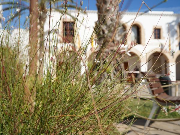 Santa Eulària aconsegueix un 92,5% de satisfacció amb el manteniment de les seves zones verdes