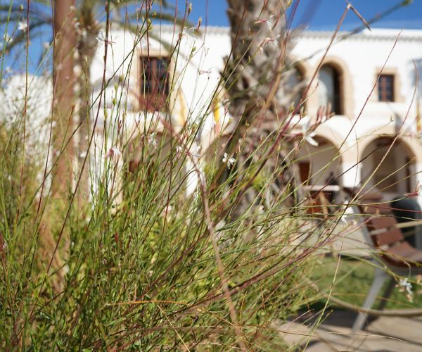 Santa Eulària aconsegueix un 92,5% de satisfacció amb el manteniment de les seves zones verdes
