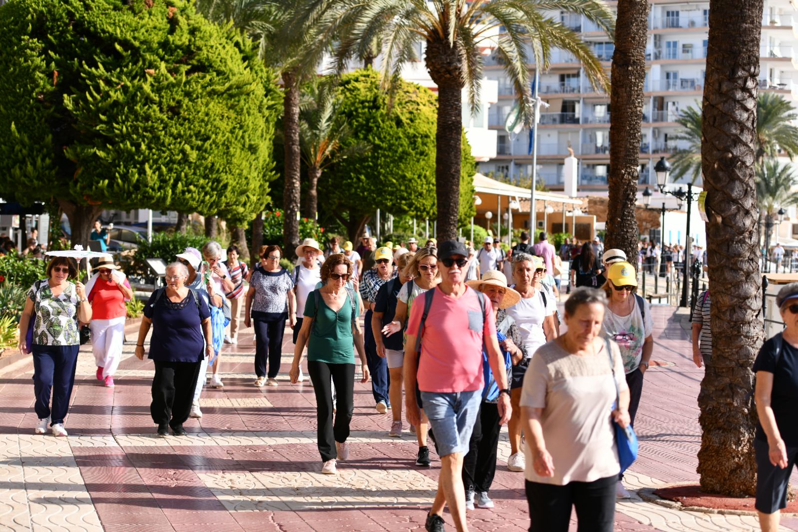 Santa Eulària celebra el Dia Internacional de les Persones Majors amb tres jornades d'activitats dins el programa Temps d'Or 2026