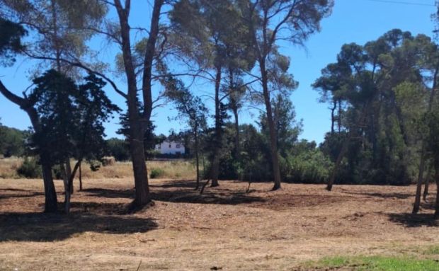 Santa Eulària obre un aparcament públic i gratuït amb 150 places en s’Argamassa