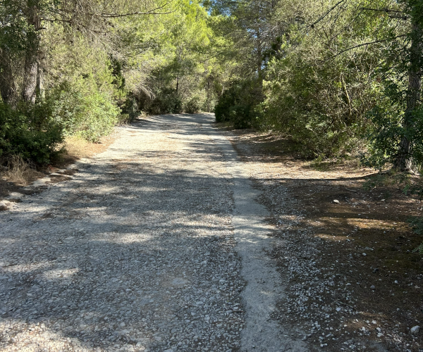 Santa Eulària inicia dimarts 29 de setembre les obres d’asfaltat integral del carrer de ses Begònies des Puig d’en Fita