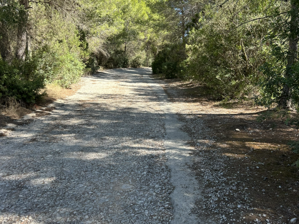 Santa Eulària inicia dimarts 29 de setembre les obres d’asfaltat integral del carrer de ses Begònies des Puig d’en Fita