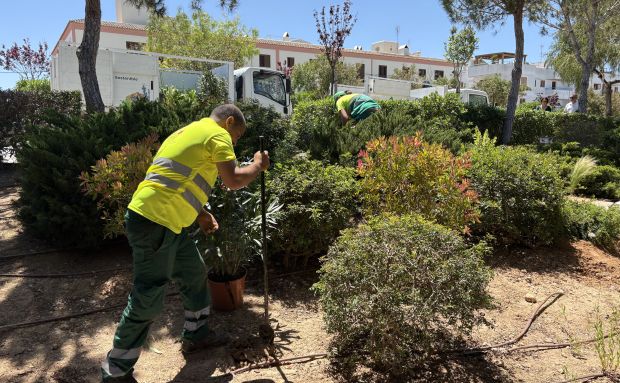 Santa Eulària reforça les seves zones verdes amb la plantació de 136 arbres i més de 900 plantes