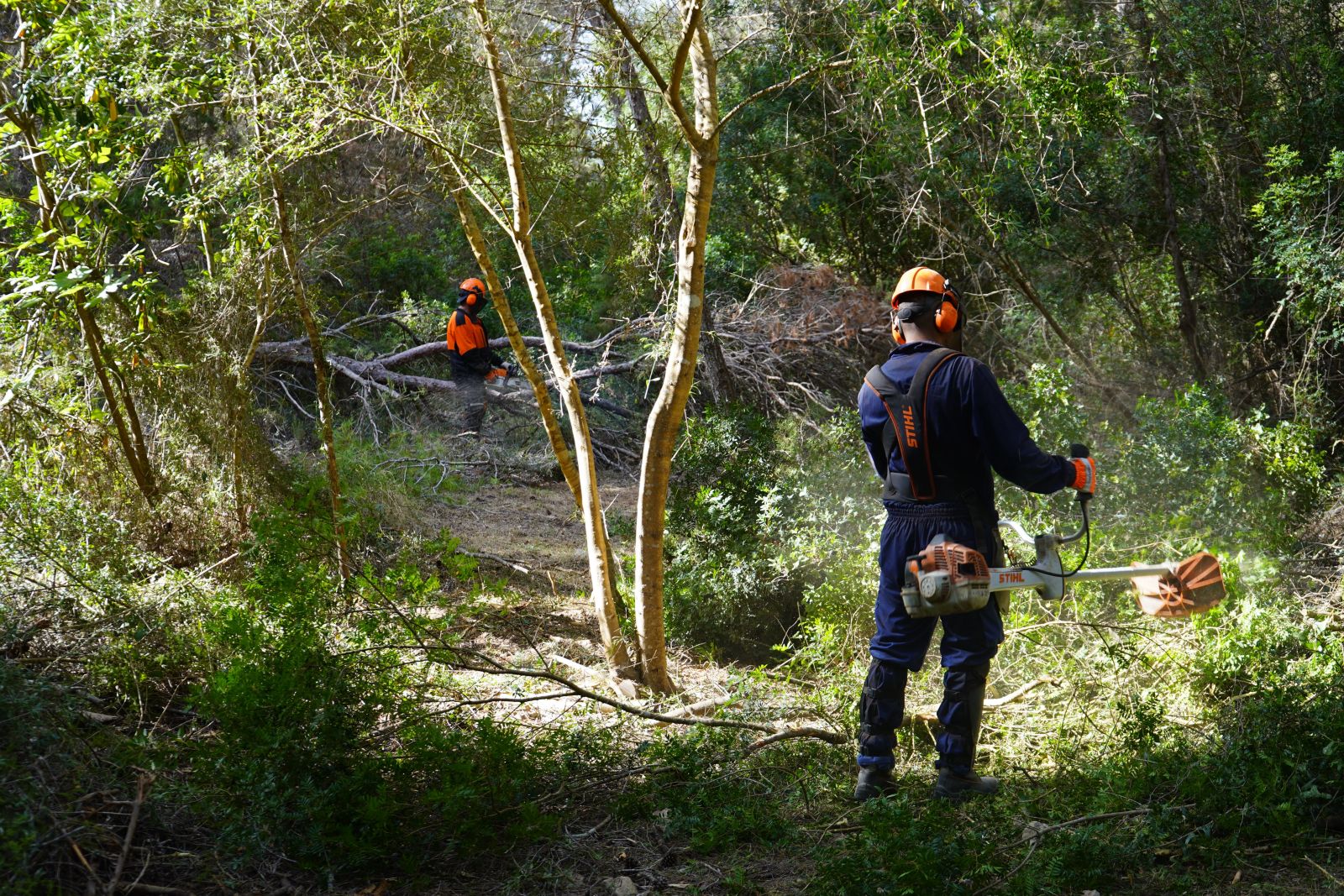 Santa Eulària inicia la neteja de 14.000 metres quadrats de torrents urbans per a reduir el risc d'inundacions