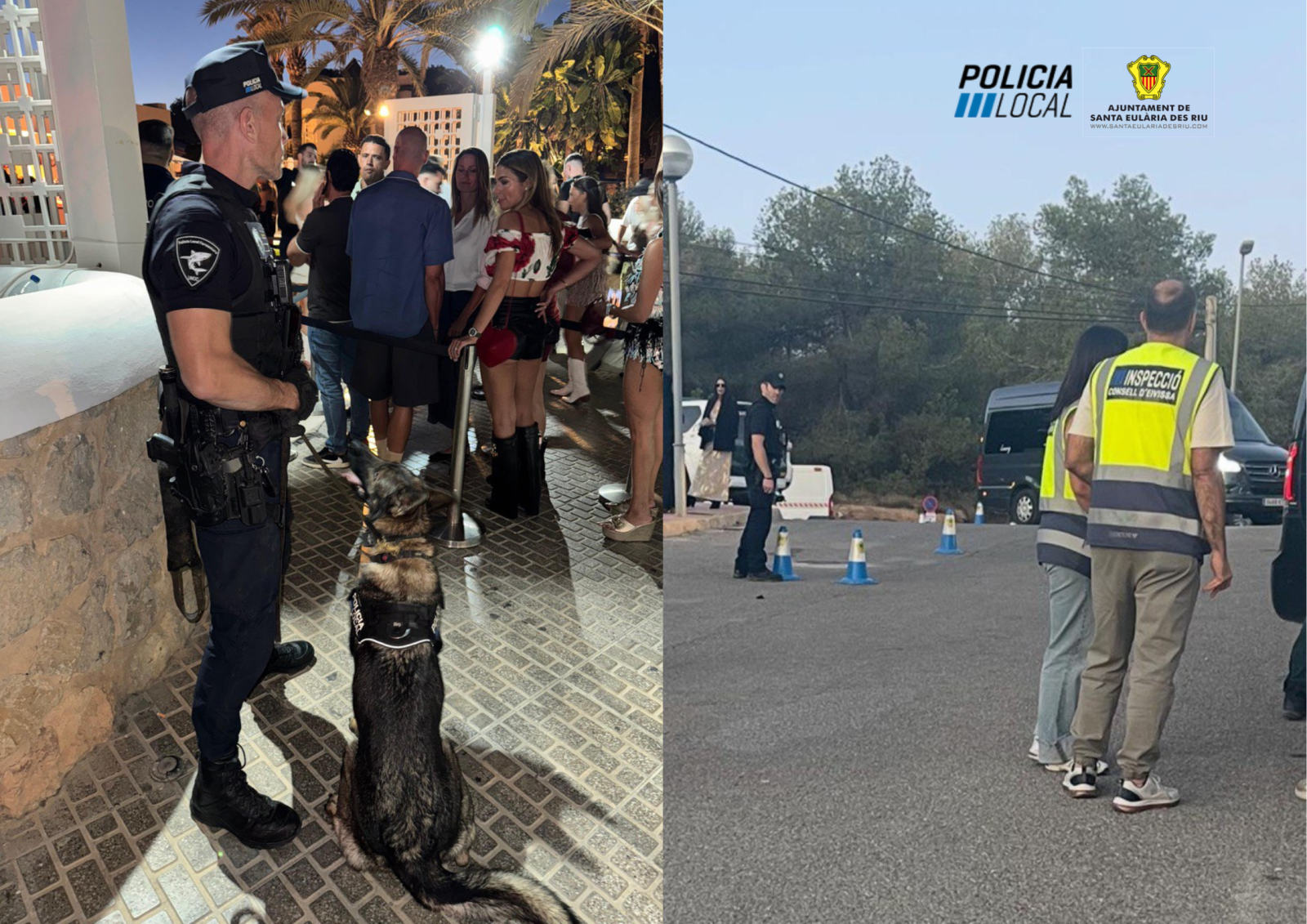Un operativo policial conjunto en Santa Eulària permite levantar más de 50 actas por drogas e inmovilizar 4 taxis pirata