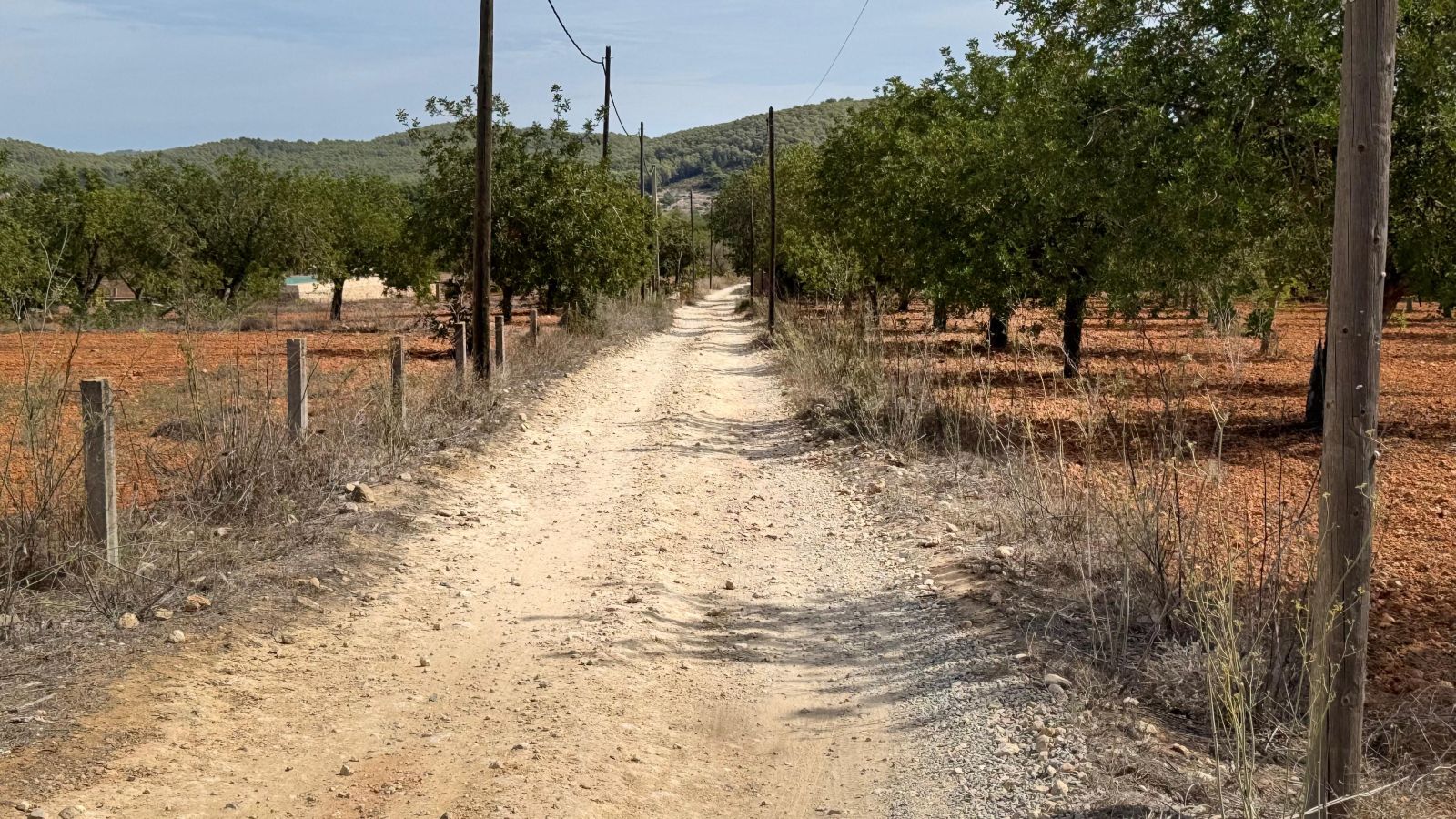 L'Ajuntament de Santa Eulària treu a licitació millores en els camins rurals del municipi per gairebé 91.000 euros