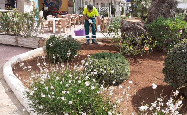 Santa Eulària licita un contracte per millorar l'eficiència en el manteniment i reduir el consum d'aigua als jardins