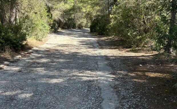Santa Eulària inicia dimarts 29 de setembre les obres d’asfaltat integral del carrer de ses Begònies des Puig d’en Fita